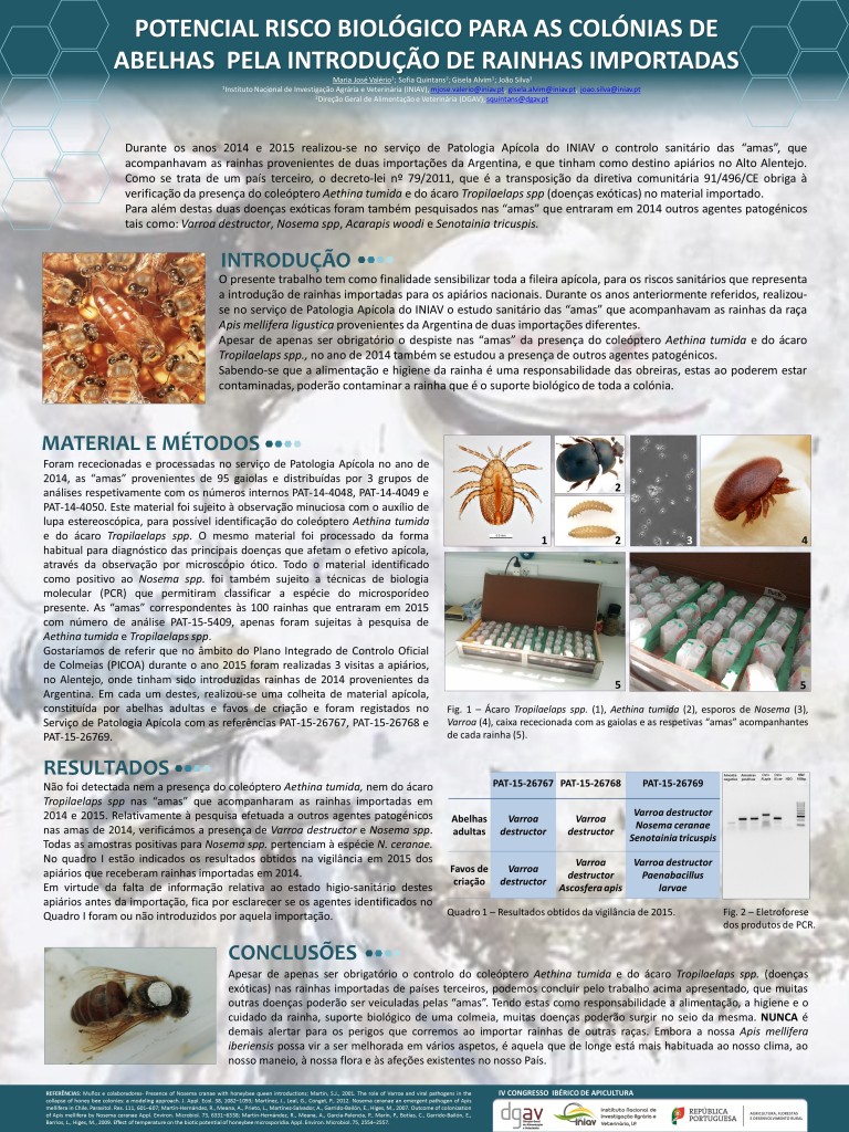 POSTER_Rainhas_Valério et alli_Salamanca