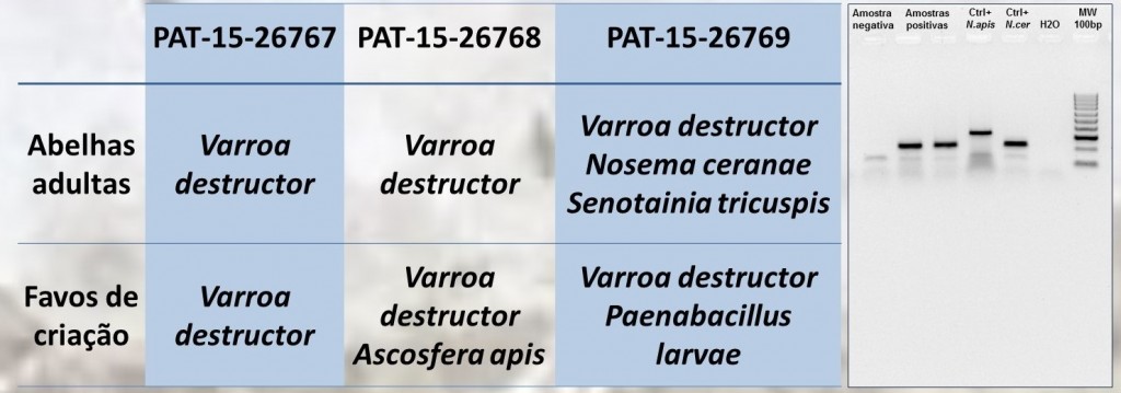 POSTER_Rainhas_Valério et alli_Salamanca_quadro