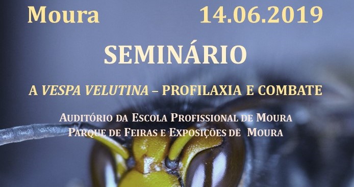 SEMINÁRIO – A VESPA VELUTINA – PROFILAXIA E COMBATE