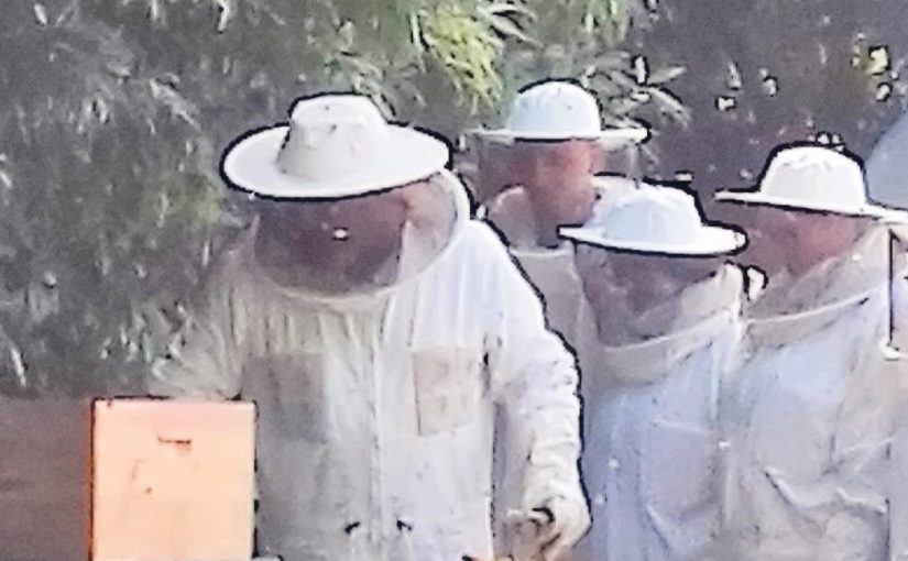 ALUNOS DA TERCEIRA, AÇORES, APRENDEM A CUIDAR DAS ABELHAS E DA BIODIVERSIDADE