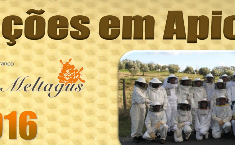 MELTAGUS divulga plano de formação para 2016
